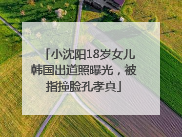小沈阳18岁女儿韩国出道照曝光，被指撞脸孔孝真