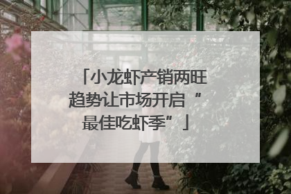 小龙虾产销两旺趋势让市场开启“最佳吃虾季”