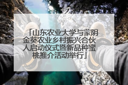 山东农业大学与蒙阴金葵农业乡村振兴合伙人启动仪式暨新品种蜜桃推介活动举行