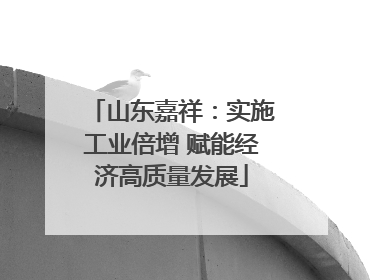 山东嘉祥：实施工业倍增 赋能经济高质量发展