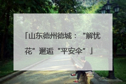 山东德州德城：“解忧花”邂逅“平安伞”