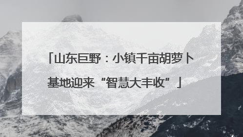 山东巨野：小镇千亩胡萝卜基地迎来“智慧大丰收”