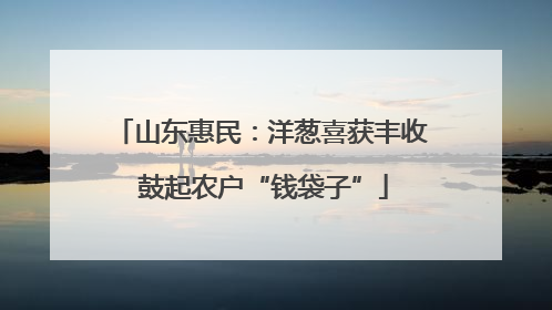 山东惠民：洋葱喜获丰收 鼓起农户“钱袋子”