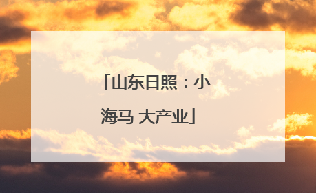 山东日照：小海马 大产业