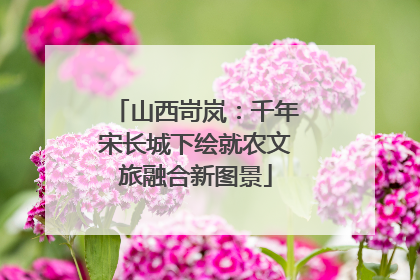山西岢岚：千年宋长城下绘就农文旅融合新图景