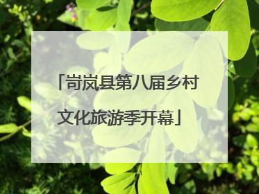 岢岚县第八届乡村文化旅游季开幕