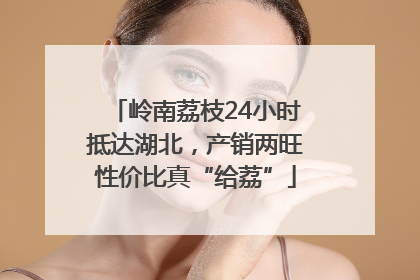 岭南荔枝24小时抵达湖北，产销两旺性价比真“给荔”