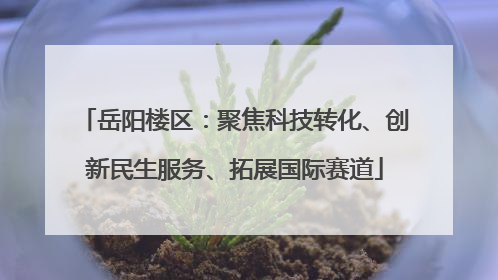 岳阳楼区：聚焦科技转化、创新民生服务、拓展国际赛道