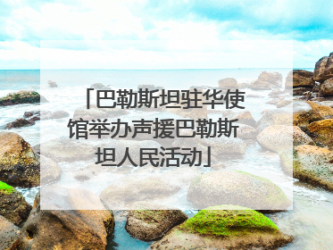 巴勒斯坦驻华使馆举办声援巴勒斯坦人民活动