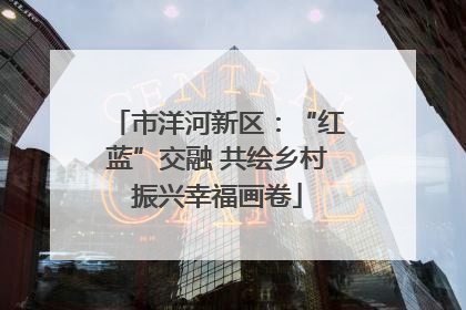 市洋河新区：“红蓝”交融 共绘乡村振兴幸福画卷