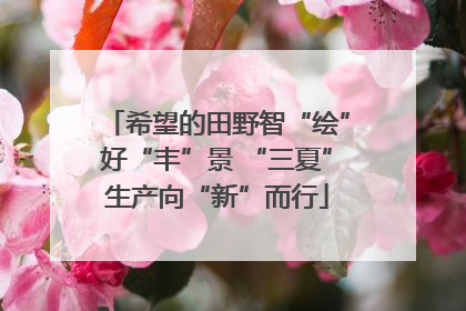 希望的田野智“绘”好“丰”景 “三夏”生产向“新”而行