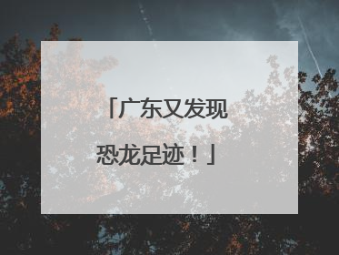 广东又发现恐龙足迹！