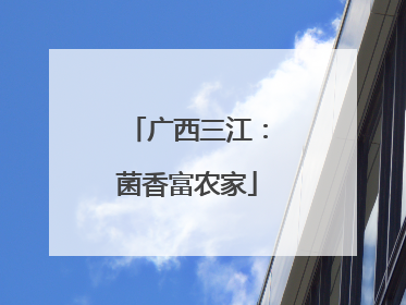 广西三江：菌香富农家