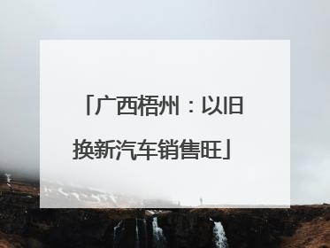 广西梧州：以旧换新汽车销售旺