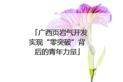 广西页岩气开发实现“零突破”背后的青年力量