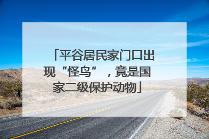 平谷居民家门口出现“怪鸟”，竟是国家二级保护动物