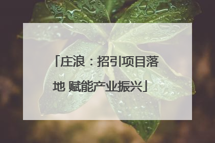 庄浪：招引项目落地 赋能产业振兴