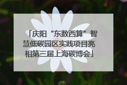 庆阳“东数西算”智慧低碳园区实践项目亮相第三届上海碳博会