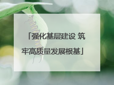 强化基层建设 筑牢高质量发展根基