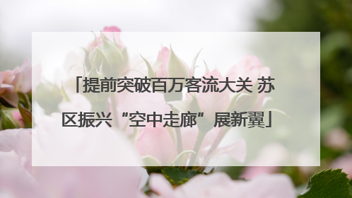 提前突破百万客流大关 苏区振兴“空中走廊”展新翼