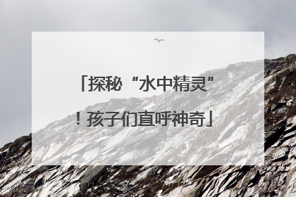 探秘“水中精灵”！孩子们直呼神奇