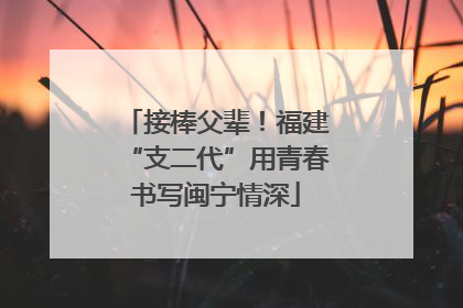 接棒父辈！福建“支二代”用青春书写闽宁情深
