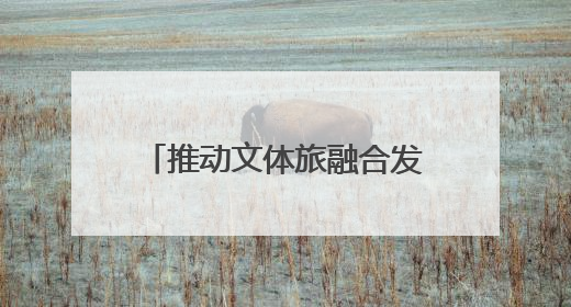 推动文体旅融合发展！辽宁省匹克球推广启动仪式启幕