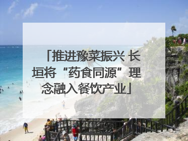 推进豫菜振兴 长垣将“药食同源”理念融入餐饮产业