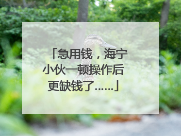 急用钱，海宁小伙一顿操作后更缺钱了……