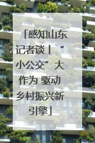 感知山东记者谈丨“小公交”大作为 驱动乡村振兴新引擎