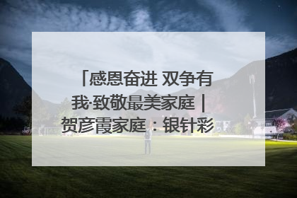 感恩奋进 双争有我·致敬最美家庭｜贺彦霞家庭：银针彩线绣出好日子