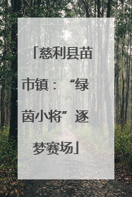 慈利县苗市镇：“绿茵小将”逐梦赛场