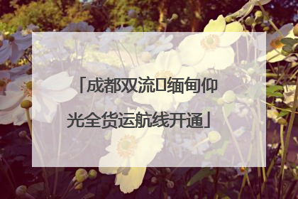 成都双流⇌缅甸仰光全货运航线开通