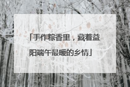 手作粽香里，藏着益阳端午最暖的乡情
