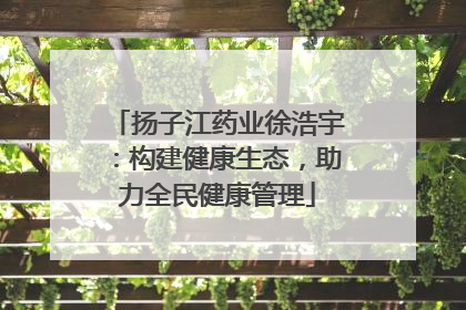 扬子江药业徐浩宇：构建健康生态，助力全民健康管理