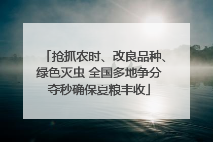 抢抓农时、改良品种、绿色灭虫 全国多地争分夺秒确保夏粮丰收