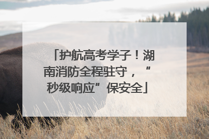 护航高考学子！湖南消防全程驻守，“秒级响应”保安全