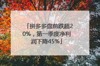 拼多多盘前跌超20%，第一季度净利润下降45%