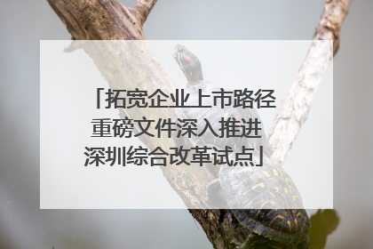 拓宽企业上市路径 重磅文件深入推进深圳综合改革试点