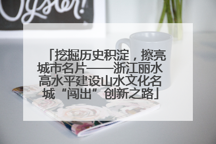 挖掘历史积淀，擦亮城市名片——浙江丽水高水平建设山水文化名城“闯出”创新之路