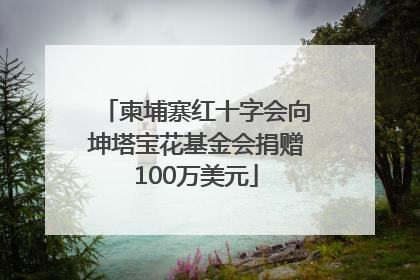 柬埔寨红十字会向坤塔宝花基金会捐赠100万美元