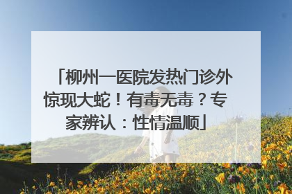 柳州一医院发热门诊外惊现大蛇！有毒无毒？专家辨认：性情温顺