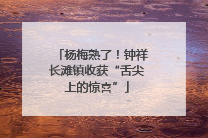 杨梅熟了！钟祥长滩镇收获“舌尖上的惊喜”