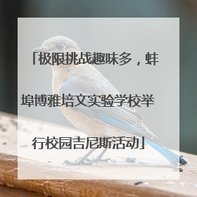极限挑战趣味多,蚌埠博雅培文实验学校举行校园吉尼斯活动