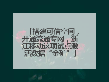 搭建可信空间，开通流通专网，浙江移动这项试点激活数据“金矿”