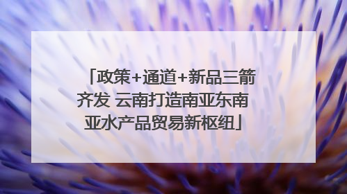 政策+通道+新品三箭齐发 云南打造南亚东南亚水产品贸易新枢纽
