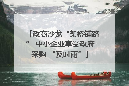 政商沙龙“架桥铺路” 中小企业享受政府采购 “及时雨”