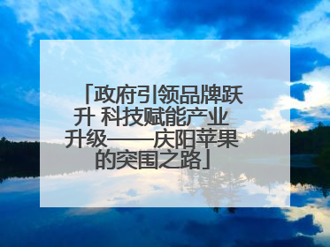政府引领品牌跃升 科技赋能产业升级——庆阳苹果的突围之路