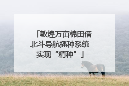 敦煌万亩棉田借北斗导航播种系统实现“精种”