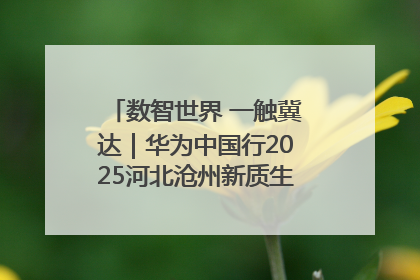 数智世界 一触冀达｜华为中国行2025河北沧州新质生产力峰会成功举办